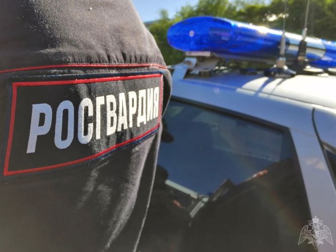 В Омской области сотрудники Росгвардии остановили автомобиль под управлением нетрезвого водителя 
