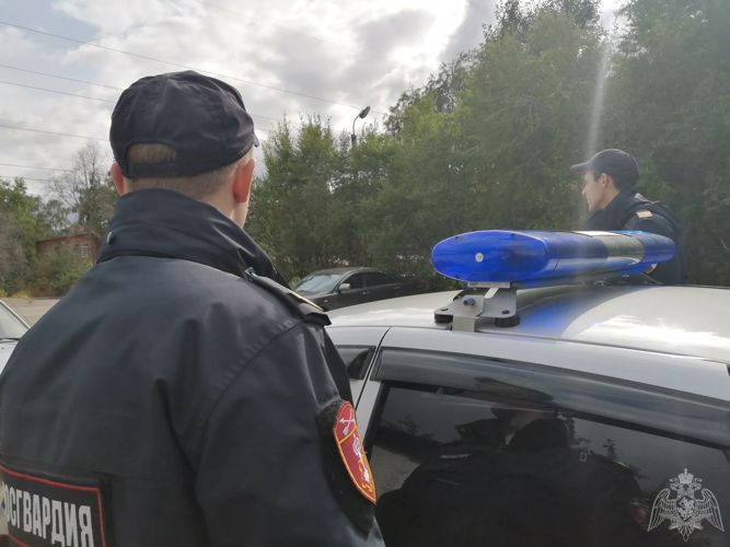 Омские росгвардейцы задержали гражданина, повредившего комплекс автоматической фиксации нарушений правил дорожного движения 