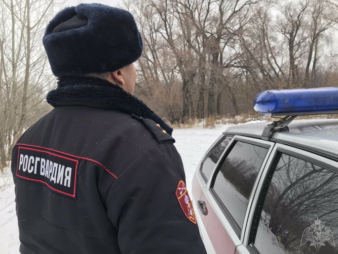 Омские росгвардейцы совместно с сотрудниками ГИБДД и местным жителем помогли автоледи выбраться из снежного плена 