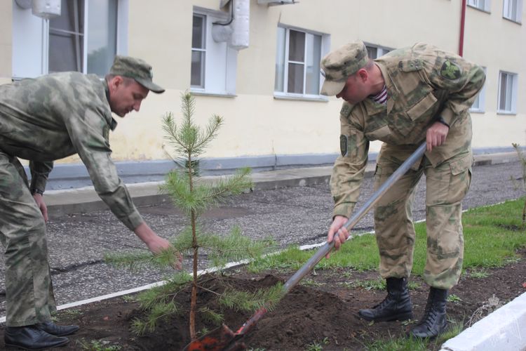 В Омске военнослужащие войсковой части Росгвардии приняли участие во всероссийской акции «Лес Победы»
