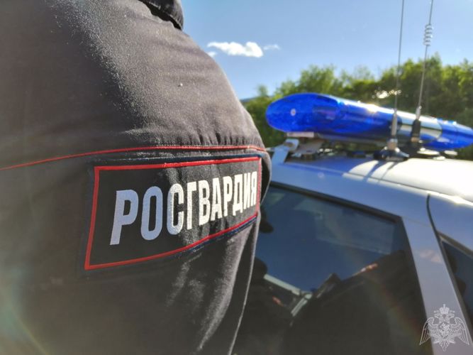 Омские росгвардейцы на территории садоводческого товарищества  задержали мужчину, подозреваемого в хищении чужого имущества
