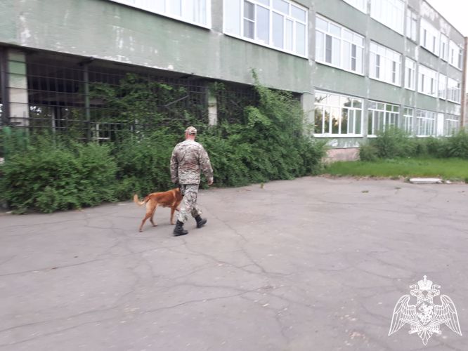 В Омской области сотрудники Росгвардии приняли участие в обеспечении безопасности проведения «Последних звонков» в школах