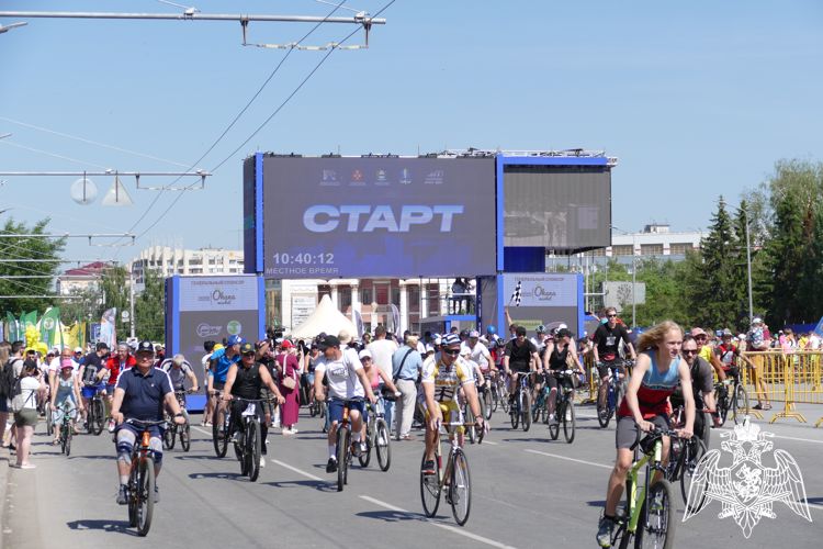 Росгвардейцы приняли участие в мероприятиях, посвящённых спортивным праздникам «ВелоОмск-2023» и полумарафоне «Забег»
