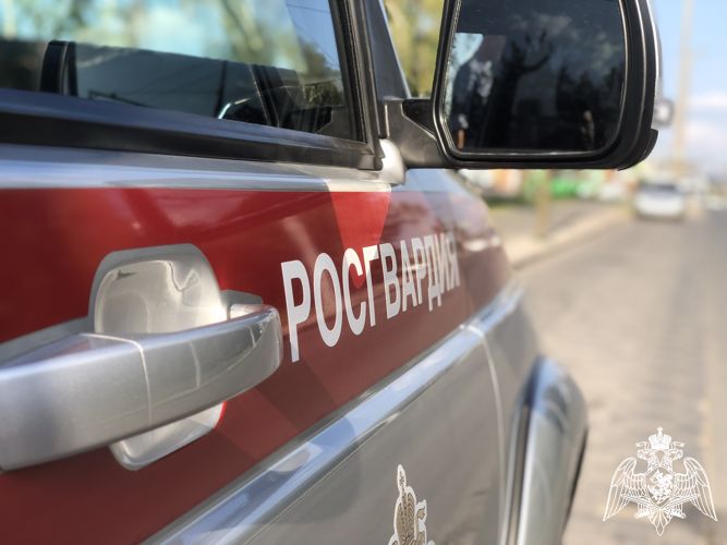 Росгвардейцы задержали водителя, управлявшего легковым автомобилем в нетрезвом состоянии в Москаленском районе