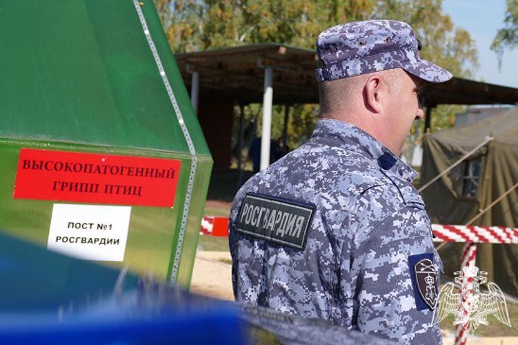 Сотрудники Росгвардии приняли участие в межрегиональных командно-штабных учениях Министерства сельского хозяйства в Омской области
