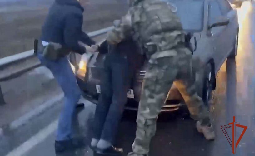 При содействии Росгвардии пресечён незаконный оборот краснокнижных птиц в Омской области