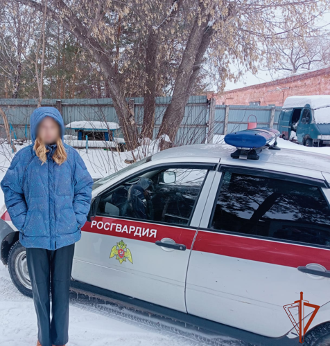  Сотрудники Росгвардии спасли юную омичку от нападения стаи бродячих собак
