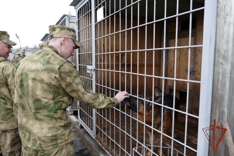   Сбор начальников кинологических служб подразделений Сибирского округа Росгвардии завершился в Омске
