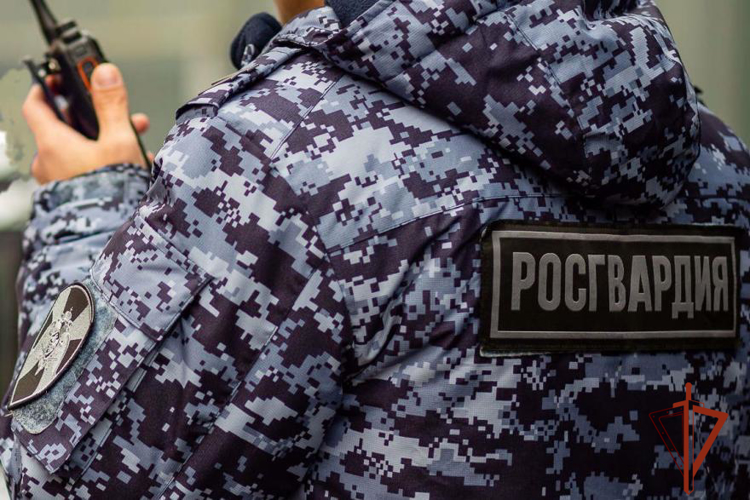 Сотрудники Росгвардии пресекли опасное движение автомобиля под управлением нетрезвого водителя  в Омской области 
