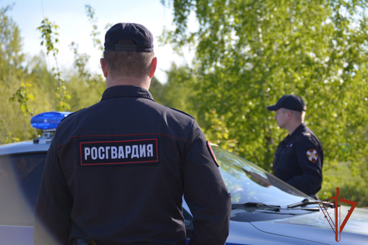 Сотрудники Росгвардии задержали водителя, представлявшего опасность своими действиями на дороге в Омской области
