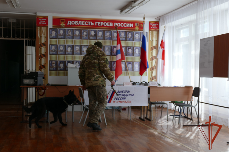 По случаю Дня кинолога расскажем о кинологической службе ОМОН «Штурм» Управления Росгвардии по Омской области