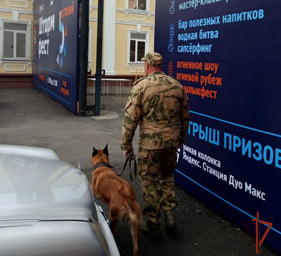 Росгвардейцы обеспечили правопорядок на фестивале здорового образа жизни «Штормфест» в Омске