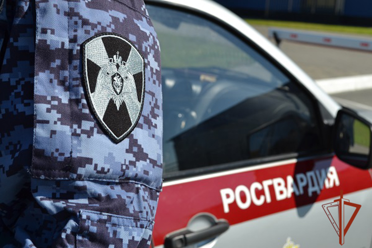 Сотрудники Росгвардии пресекли опасное движение автомобиля под управлением нетрезвого водителя в Омской области