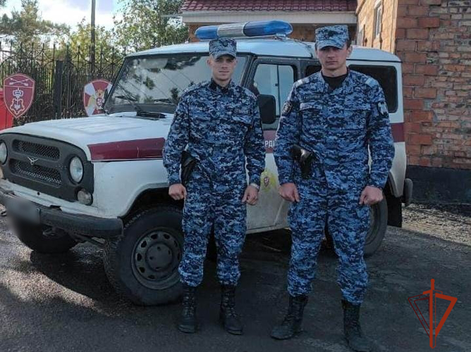 Сотрудники Росгвардии задержали нетрезвого водителя грузовика в Омской области 