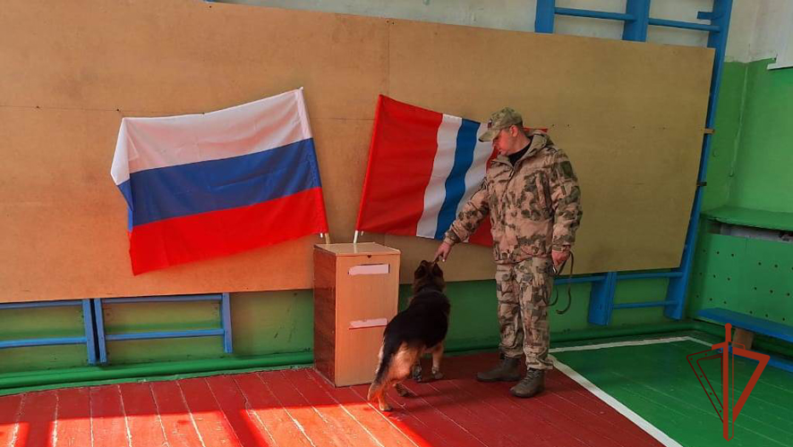 В Омской области Росгвардия обеспечила правопорядок и безопасность в единый День голосования 8 сентября 2024 года