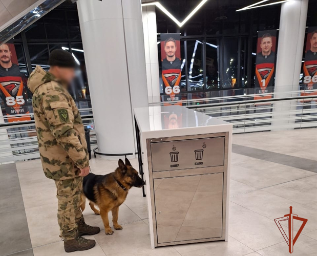 Росгвардия обеспечила правопорядок при проведении международных соревнований «Сила традиций» в Омске