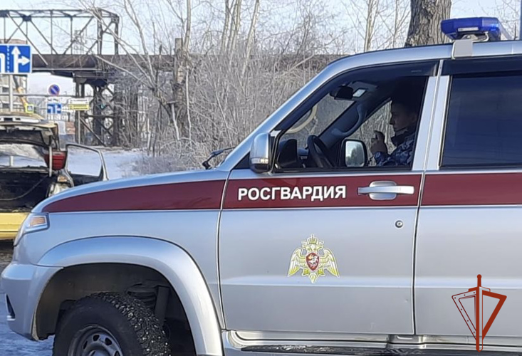 Сотрудники Росгвардии пресекли опасное движение автомобиля под управлением нетрезвого водителя в Омской области