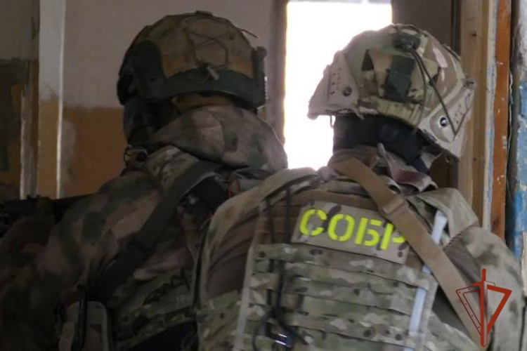 При содействии спецподразделения Росгвардии пресечена деятельность подпольных игорных заведений в Омске