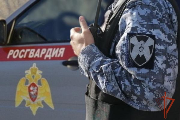 Росгвардейцы задержали двух нетрезвых водителей в Омской области