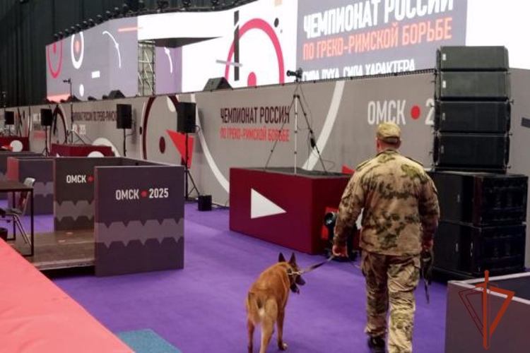 Росгвардия обеспечила правопорядок во время проведения чемпионата России по греко-римской борьбе в Омске