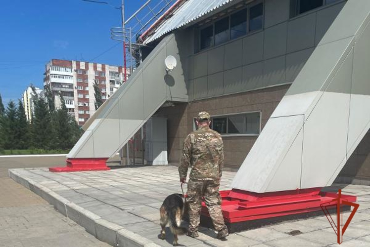 Правопорядок на фестивале «Лето Вокруг света. Новое поколение» обеспечили сотрудники Росгвардии в Омске