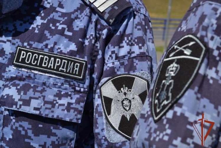 В Омской области росгвардейцы задержали нетрезвого водителя, допустившего съезд в кювет 
