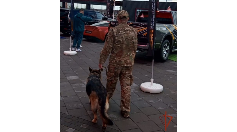 Росгвардейцы обеспечили правопорядок на фестивале HALFEST в Омске