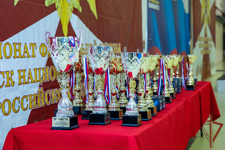 Омский росгвардеец занял призовое место на чемпионате Росгвардии по комплексному единоборству