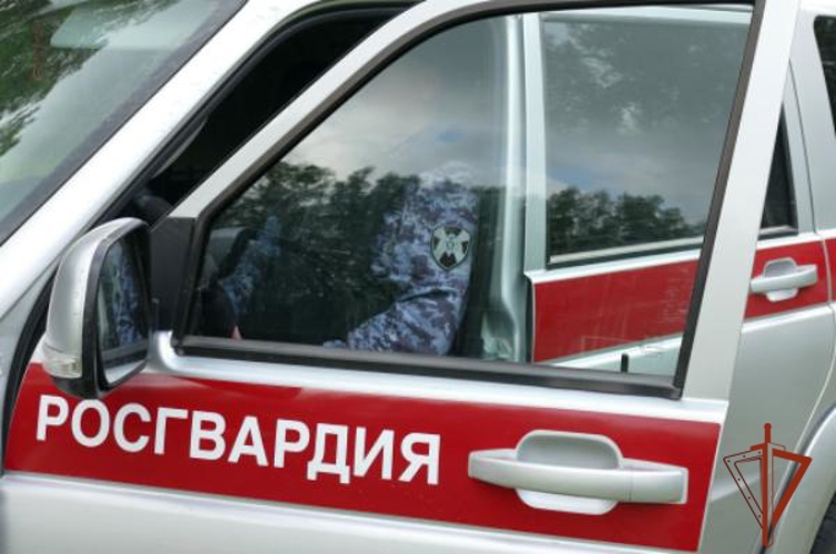 Росгвардейцы задержали двух нетрезвых водителей в Омской области