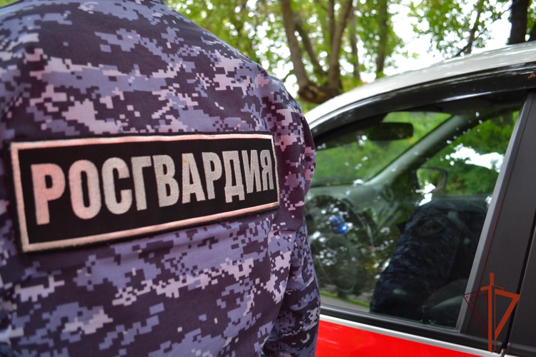 В Омской области сотрудники Росгвардии пресекли управления транспортными средствами водителями, находившимися в состоянии опьянения 