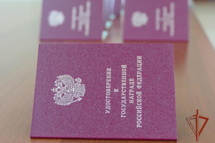 Сотрудники ОМОН «Штурм» Росгвардии удостоены государственных наград в Омске