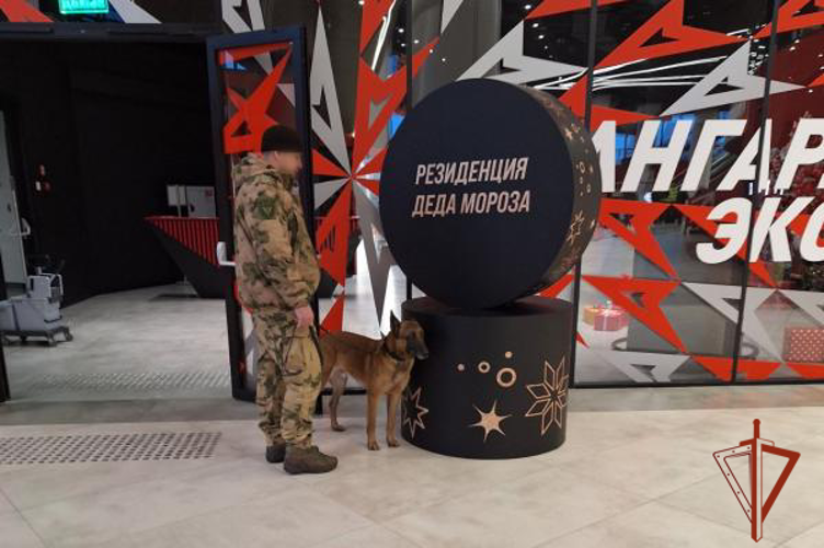 В период рождественских праздников росгвардейцы обеспечили безопасность граждан в Омской области
