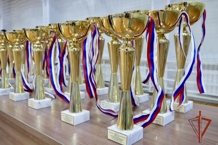 Чемпионат Сибирского округа Росгвардии по комплексному единоборству завершился в Омске