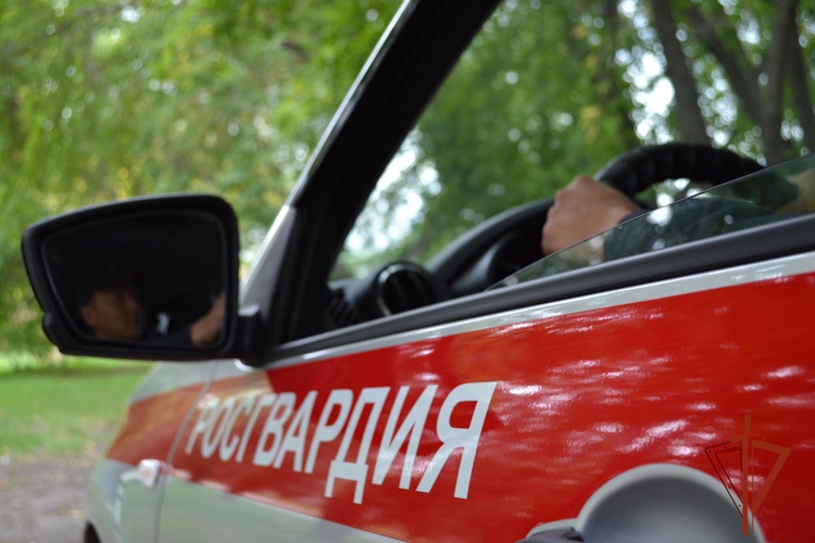 Сотрудники Росгвардии пресекли опасное движение автомобиля под управлением нетрезвого  водителя в Омской области