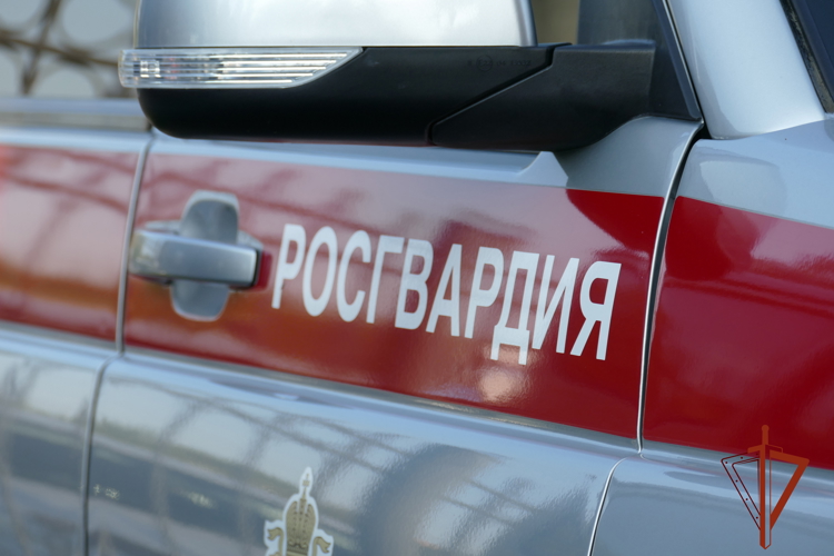 В Омске сотрудники Росгвардии задержали вооруженного ножом неадекватного мужчину 