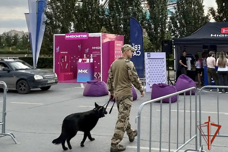 Росгвардия обеспечила правопорядок на фестивале  «Вектор фест-2026» в Омске