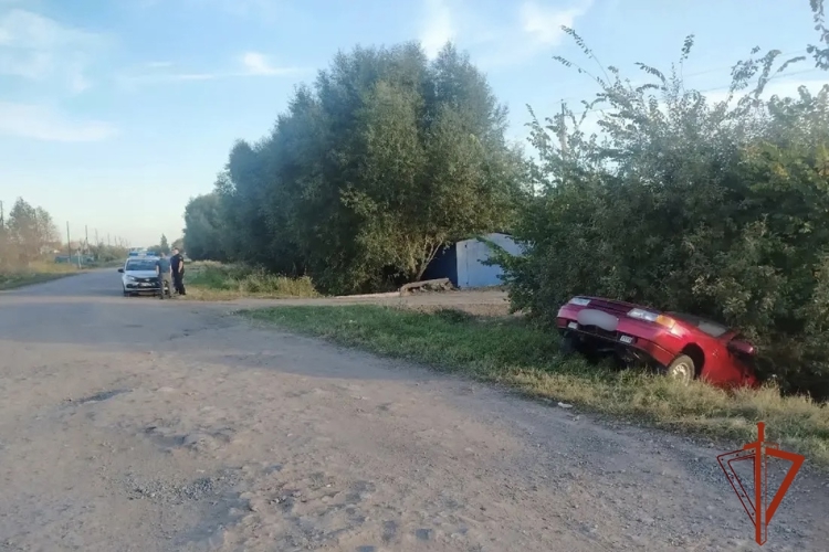 Росгвардейцы пресекли движение автомобиля под управлением нетрезвого водителя в Москаленском районе