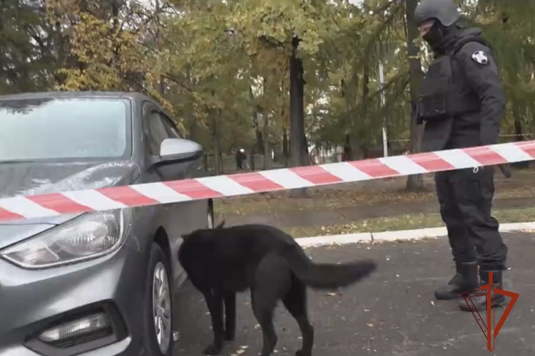 Росгвардия и МЧС России провели совместную тренировку на объекте образования в Омской области