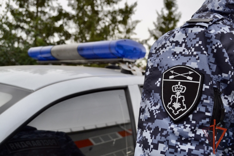 В Омской области сотрудники Росгвардии пресекли два факта опасного управления транспортными средствами